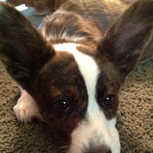 Meet your Posher, Nina