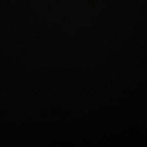 Meet your Posher, Bailey