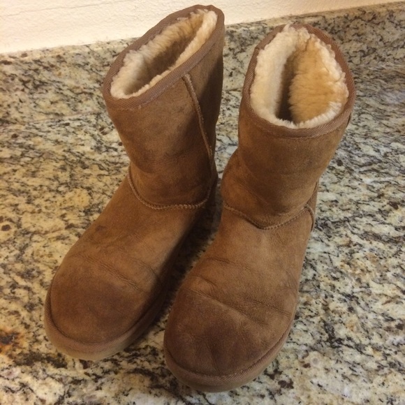Women's Short UGG's in Chestnut