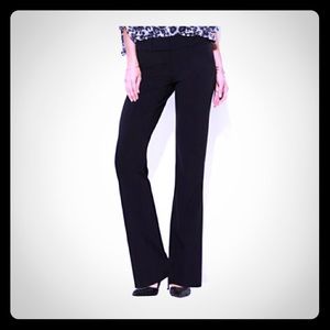 7th Ave Signature Design Studio Pant