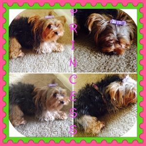 Meet your Posher, Rubines