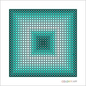 Meet your Posher, Kodie