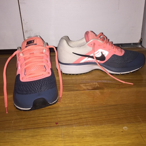 Nike Pegasus 3.0