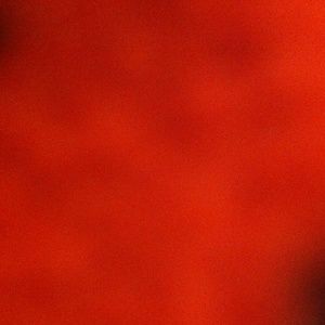 Meet your Posher, Lacey