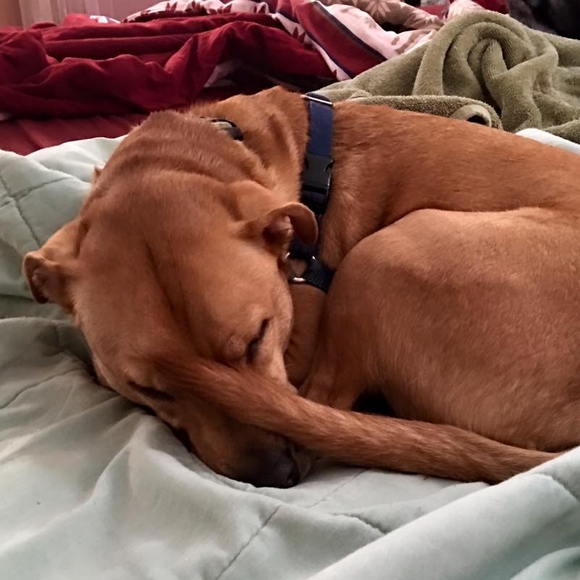 Meet your Posher, Carrie