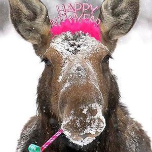 Meet your Posher, Tamara