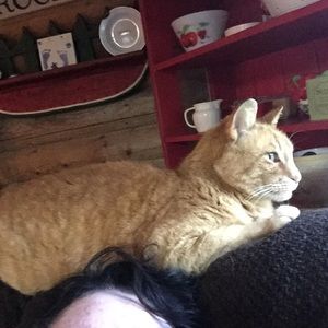 Meet your Posher, Janice