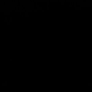 Meet your Posher, Whitney