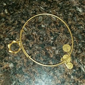 Alexi and Ani bracelet