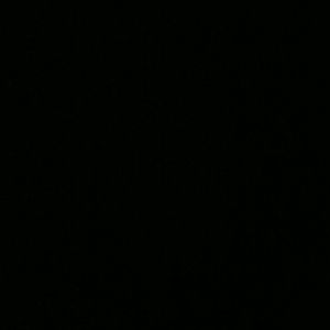 Meet your Posher, Antonia