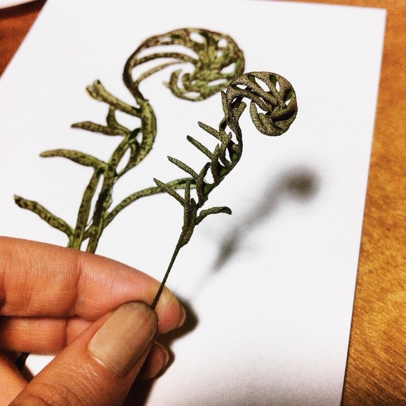 Meet your posher, E! - Picture 3 of 4