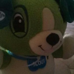 Meet your Posher, Allyson