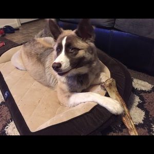 Meet your Posher, Vanessa