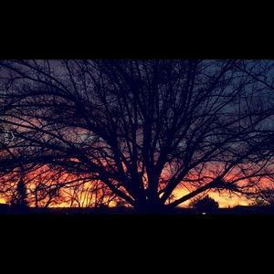 Meet your Posher, Lexx