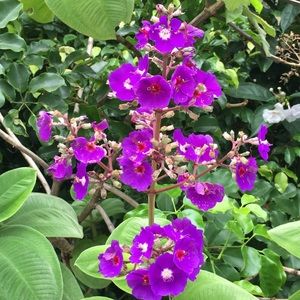 Meet your Posher, Maily