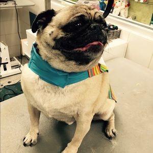 Meet your Posher, Mallory