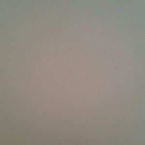 Meet your Posher, Tamra