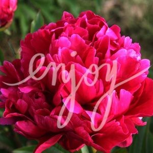 ❤️ipad case for missmakaylaaa