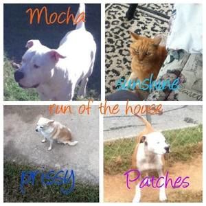 Meet your Posher, Wanda