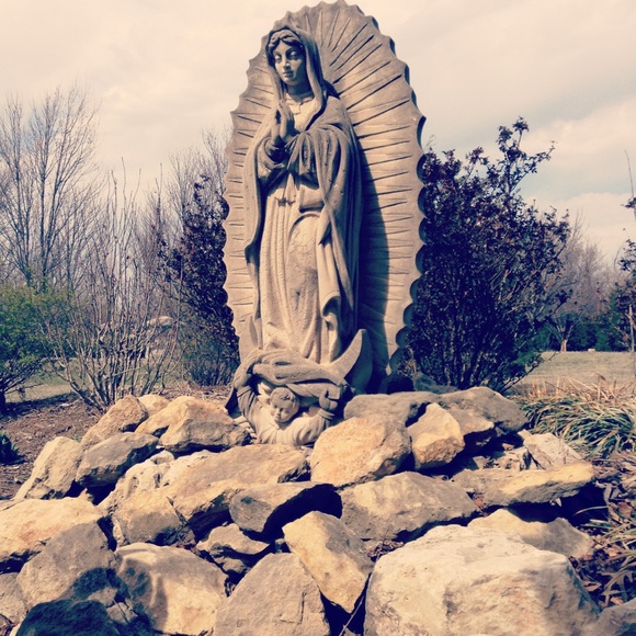 Meet your Posher, James - Picture 1 of 1