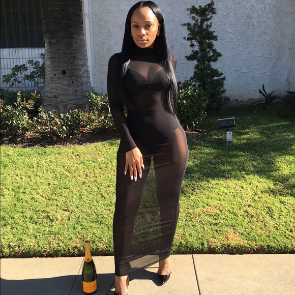 Long sleeve Mesh dress ( only the dress )