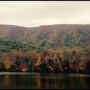 Meet your Posher, Sydney