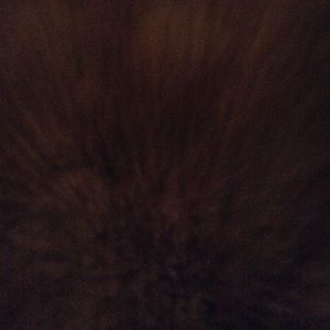 Meet your Posher, Irene