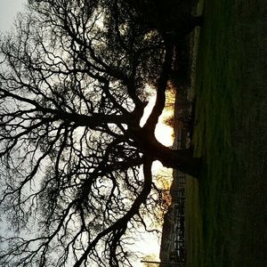 Meet your Posher, Tascha