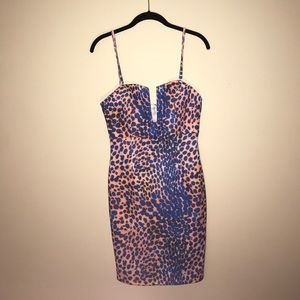 TOBI blue cheetah print bandage dress