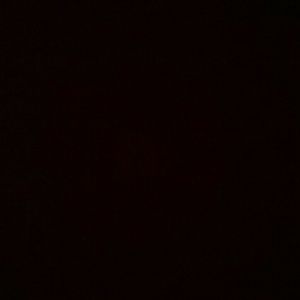 Meet your Posher, Celia