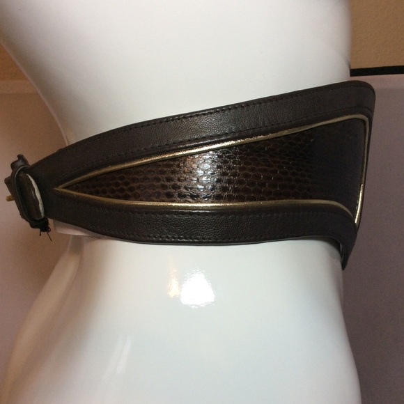 JLynch Brown With Gold Trim Watersnake Belt