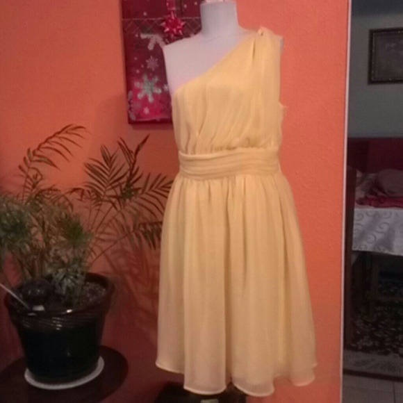 Beautiful Dress Tevolio