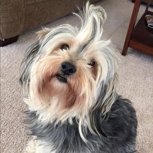 Meet your Posher, Terri