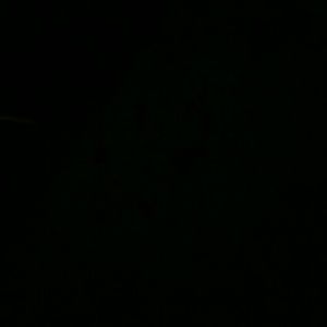 Meet your Posher, Elaine