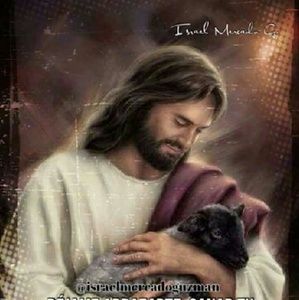 Meet your Posher, Martha