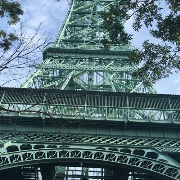 Meet your Posher, Jasmine - Picture 1 of 1