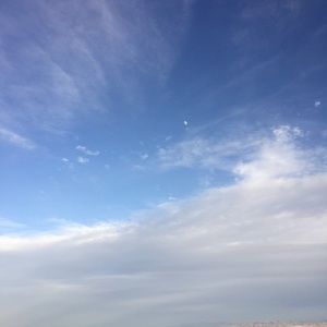 Meet your Posher, Cassandra