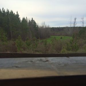 Meet your Posher, Zack