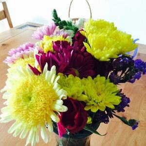 Meet your Posher, Terra