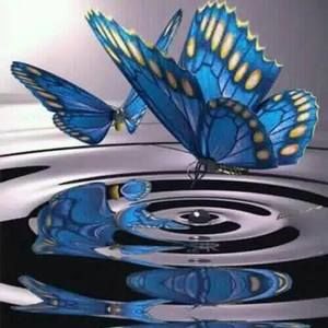 Meet your Posher, Nedla