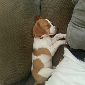 Meet your Posher, Kimberly