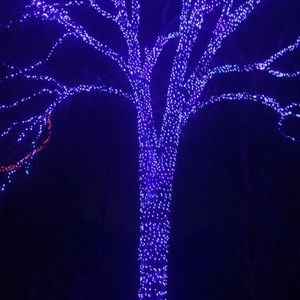 Meet your Posher, Timothy