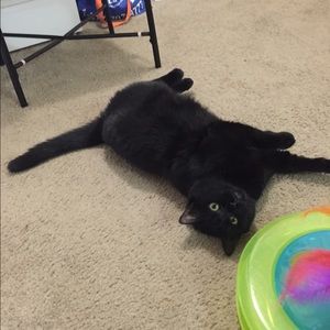 Meet your Posher, Carmen