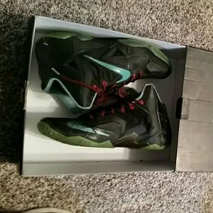 Lebron 11 jades