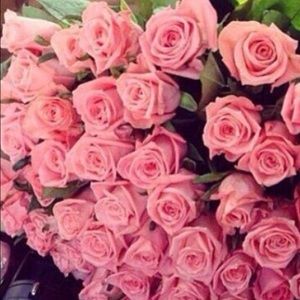 Meet your Posher, Alcira