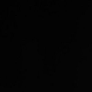 Meet your Posher, Dylan