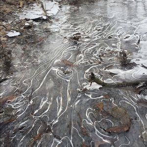 Meet your Posher, Aj