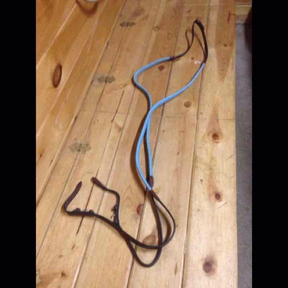 Light Blue Rubber Reins With Leather