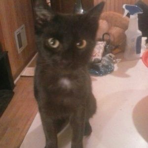 Meet your Posher, Axel