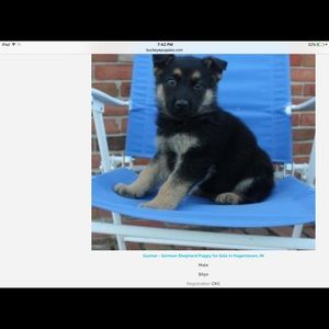 Meet your Posher, Christine